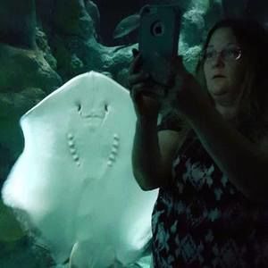 Meet your Posher, Tammy